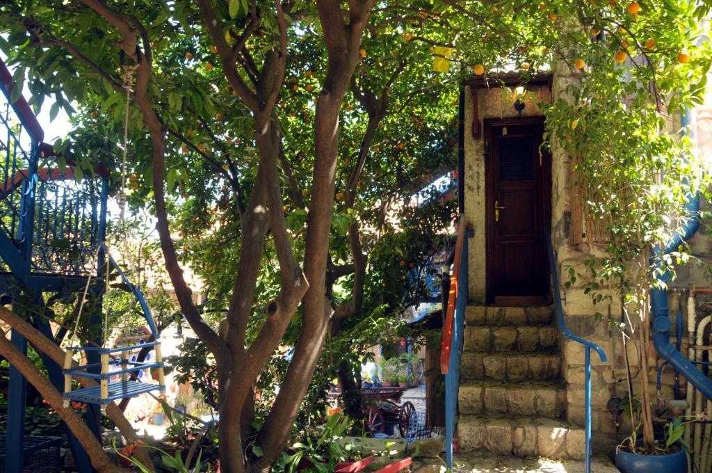 Villa Tehila - By V Club Chain Rosh Pinna Exterior foto