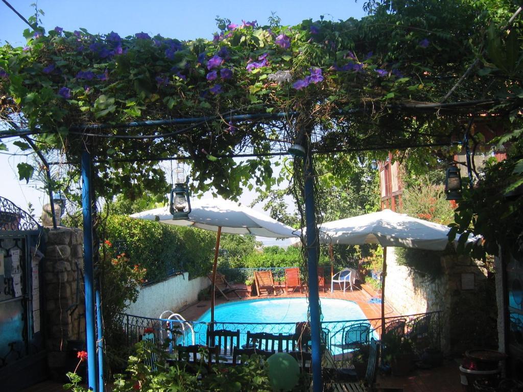 Villa Tehila - By V Club Chain Rosh Pinna Exterior foto
